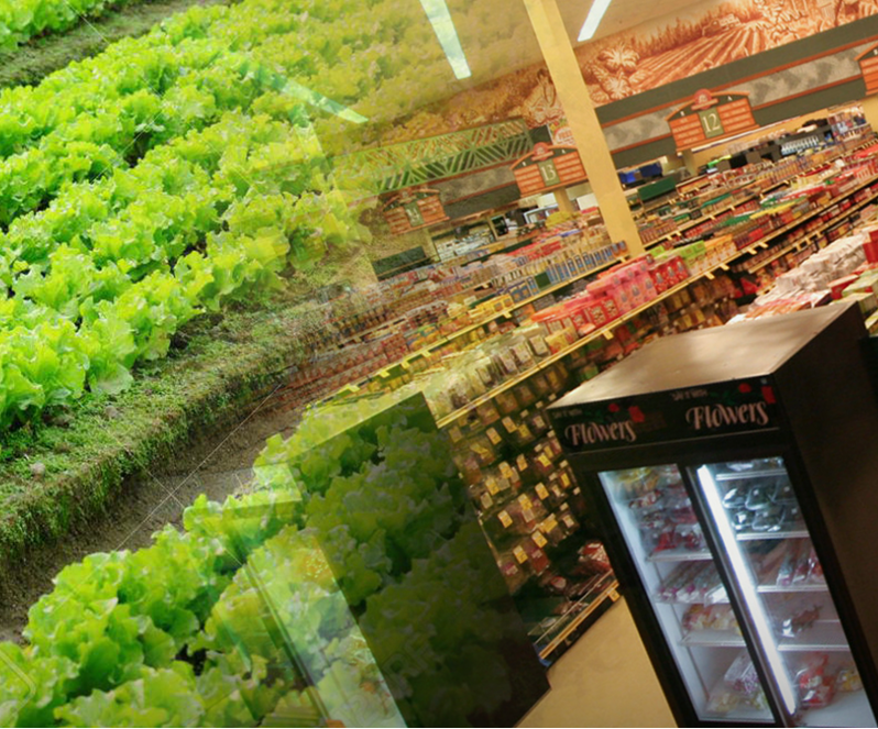 فروشگاه اینترنتی کاهو